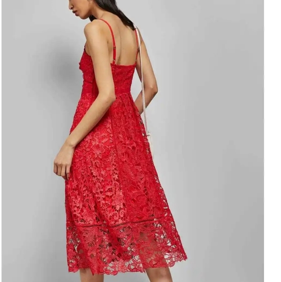 NWT Red Ted Baker Valens Mixed Lace Midi Dress Uk 2/US 6 - Picture 4 of 11